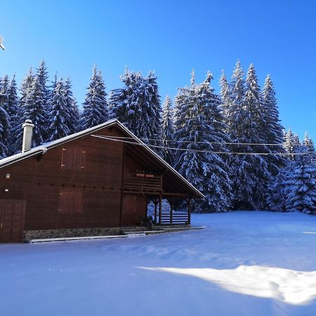 Casa De Vacanta Dintre Brazi Topliţa Exterior foto