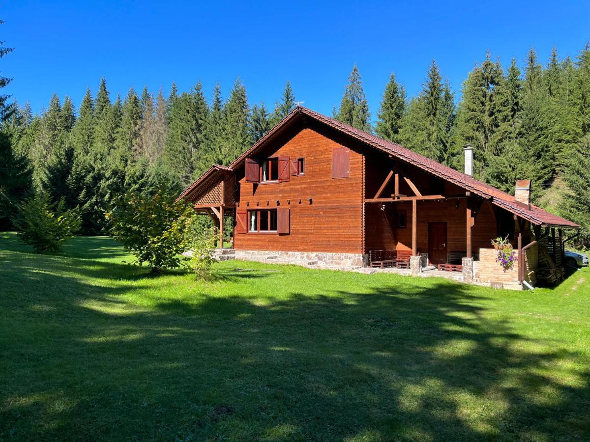 Casa De Vacanta Dintre Brazi Topliţa Exterior foto
